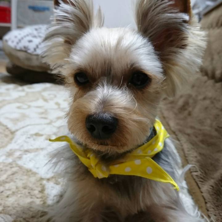 6c889249 7efe 4d53 8028 9d8bf2471da8