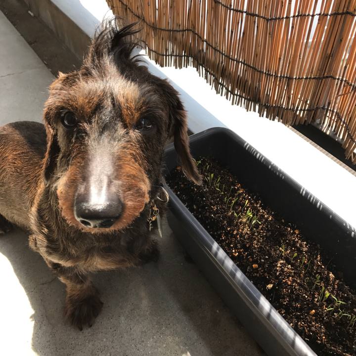 6c88ed8b cdad 4d01 8dd1 6425918b36db