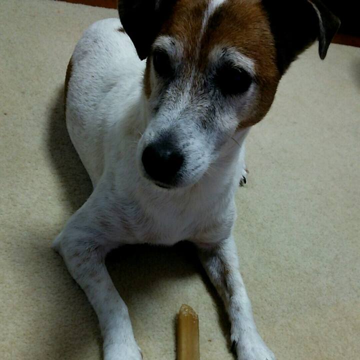 6c8966b7 a3ab 4394 8604 5ac0eb311468