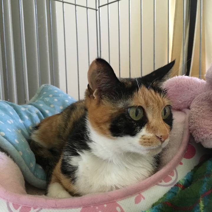 6c89e81f f46b 4f99 abfa 8d7f5cb02de5