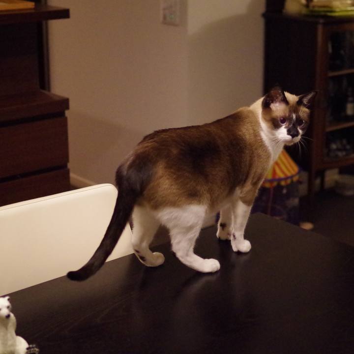 6c8a4083 bf53 4c28 8c46 78b84539ed35