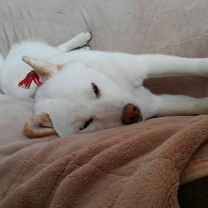 6c8a8a5d 10c2 4cb4 9551 4873dfa62ef0