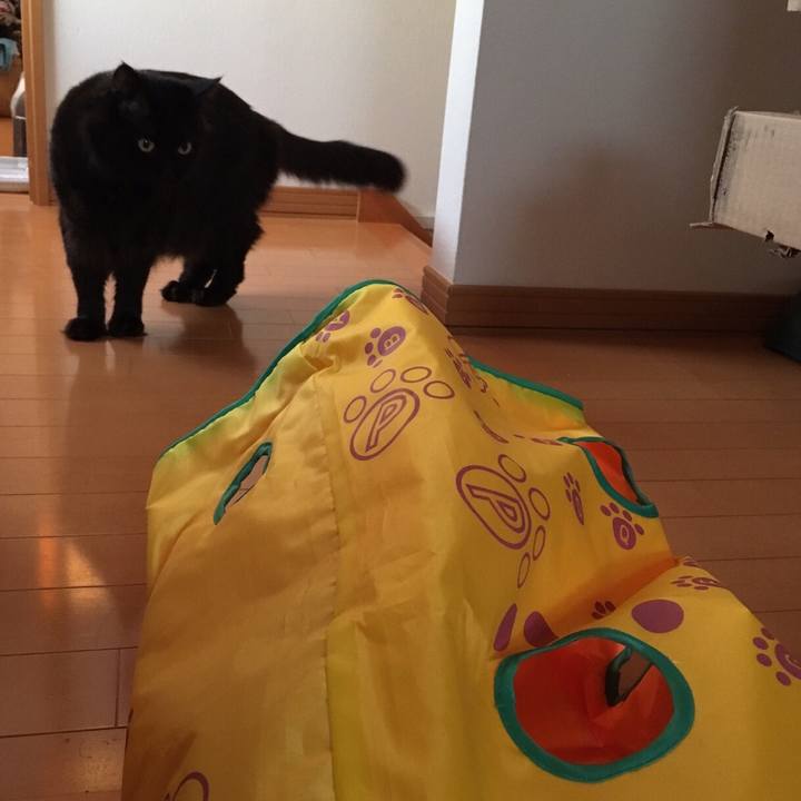 6c8a983d d75a 4137 b628 af9a362064ec