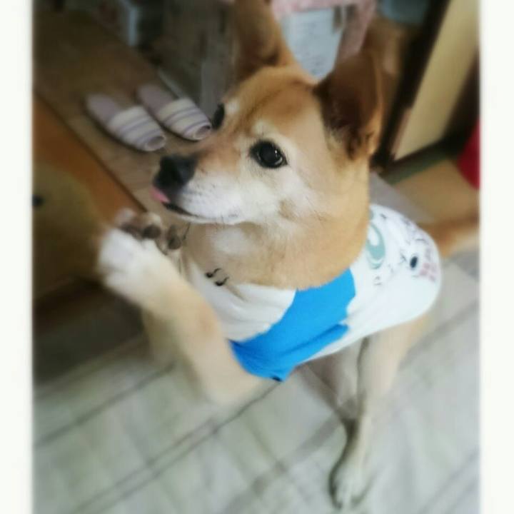 6c8ab775 5b4b 4af5 8381 893ab0193c01