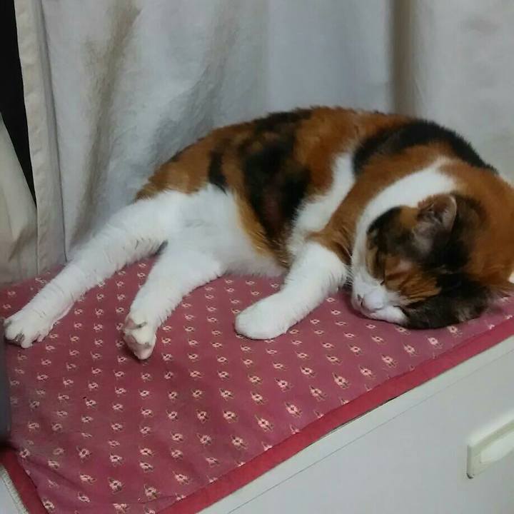 6c8af951 caae 4e66 908b 9689ed60dfa8