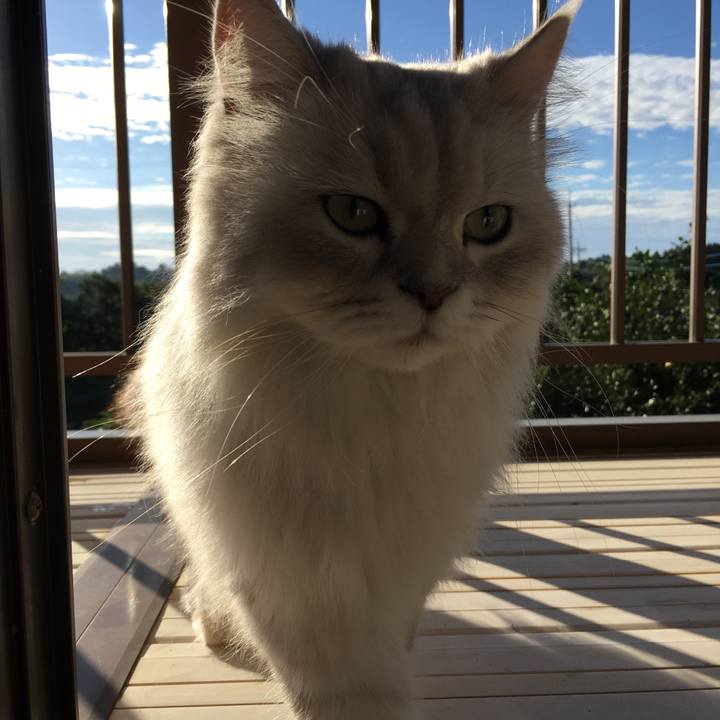 6c8b07ce 8534 49ac b033 91ccc83e8e3f