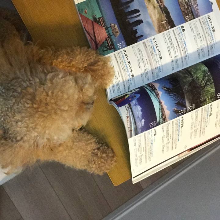 6c8b39cc a8c5 4ef6 91e5 2df9b21c3ecf