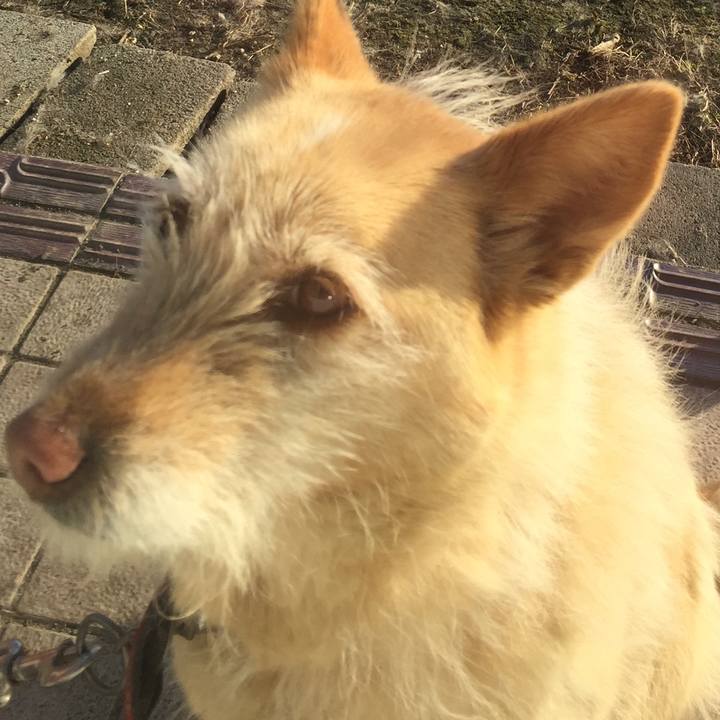 6c8b403f 8506 4455 9960 7fe5227530cb