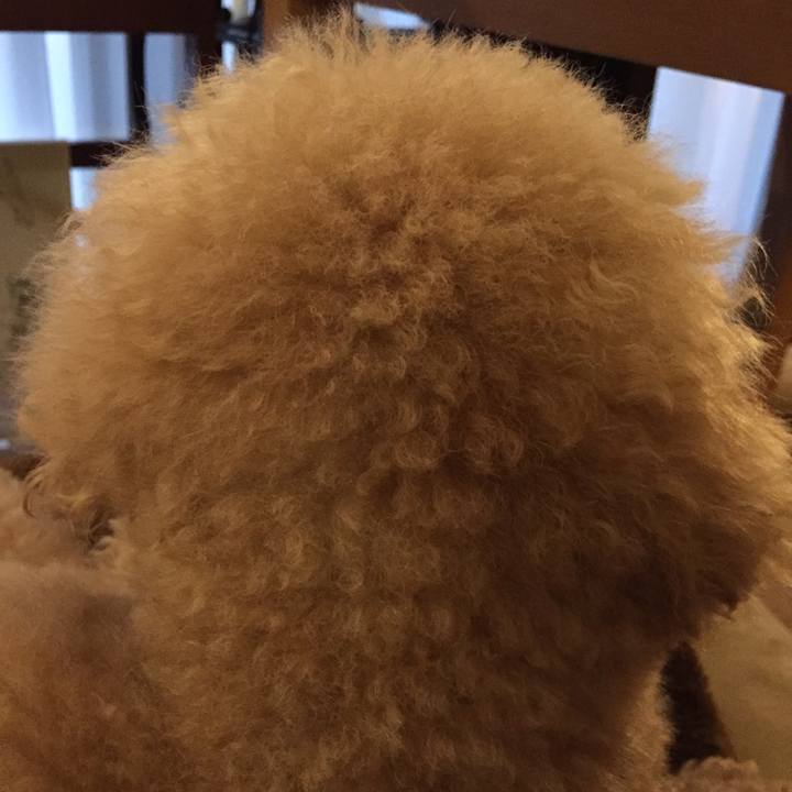 6c8b7760 5468 49f9 b742 af41c4e230e3