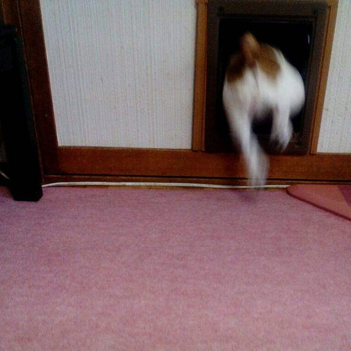 6c8be75b eb88 4c85 a3c8 4a668fe57918