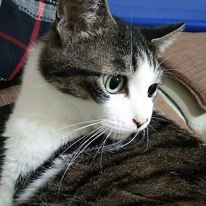 6c8bf522 805a 4f87 b65e 467d13320a06