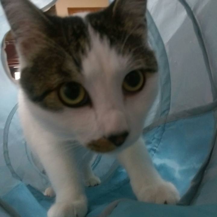 6c8c17b9 fd13 467c bb4d 888eefa71dc4