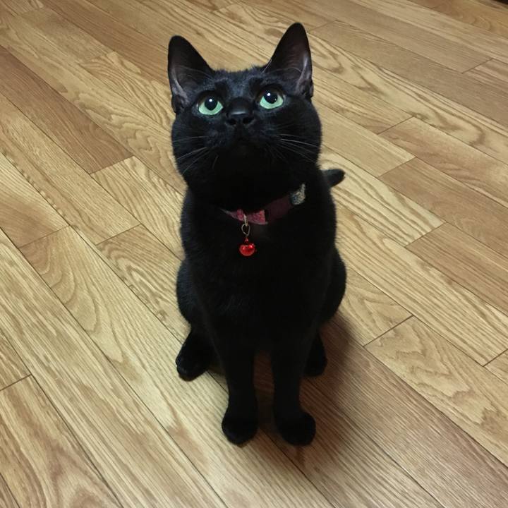 6c8caae7 4594 4ec3 aa26 d0d77b4dbf14