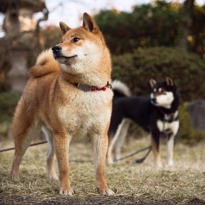 6c8cfc84 d97b 43b0 80a0 c8bea75f98d2