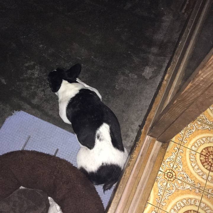 6c8d5dcd e593 417a b08a 30e535a5cec8