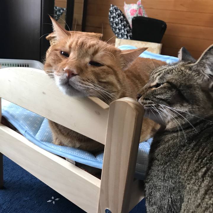 6c8da284 b1fb 4a07 8e4c 16f3a549fe59