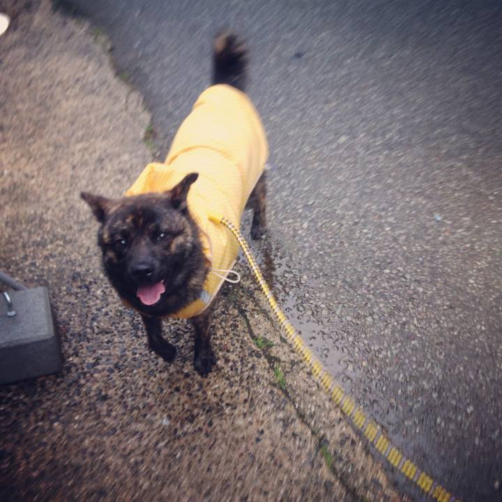 6c8e3992 9c07 4855 981f d666e5422c89