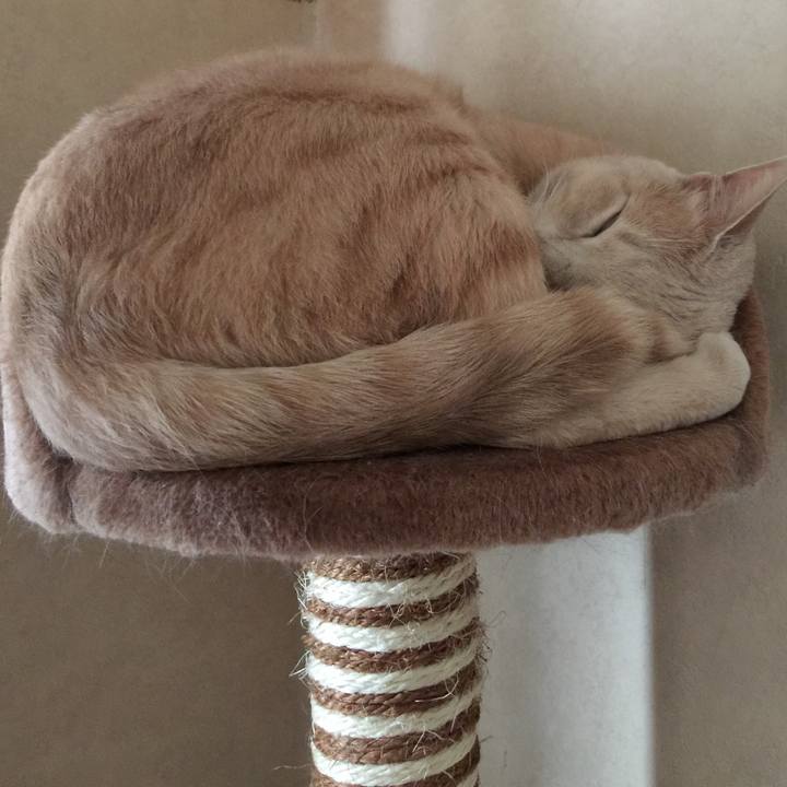 6c8ee69b a337 479a ae9b 33749ad3ce2b