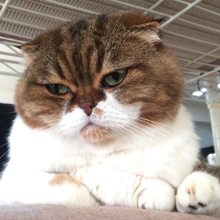 6c8f230f 4aff 4e28 8c3d 7e6aa7028d8c