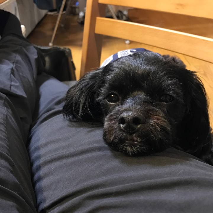 6c8f587c 8a48 4805 910e 8dac70d00fba