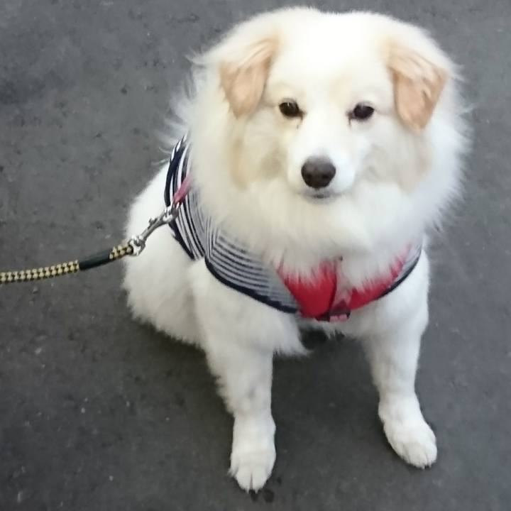 6c8fe5ec f623 4cad 9f62 f876d705c412