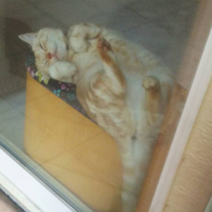 6c9008c8 4d62 4f18 9794 3c13c29b6923