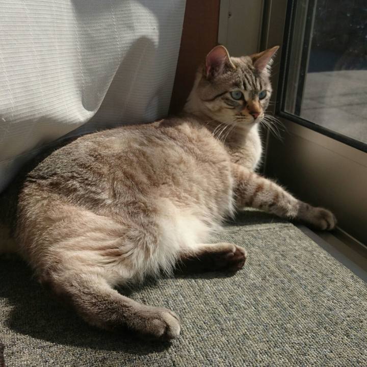 6c90a4fc dbaf 4948 97dc fcb1a5c99f58