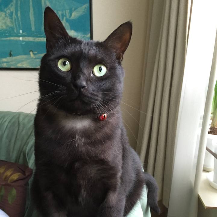 6c910010 0ff9 49d5 afa4 0bf4c312d8a0