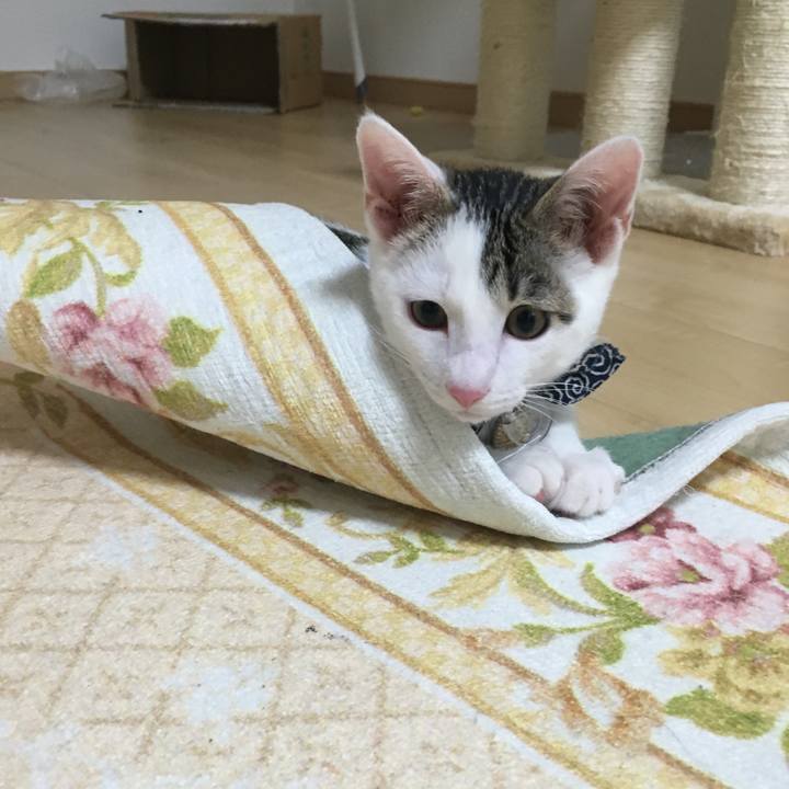 6c910fe7 958b 43ed 8b33 f8da584c1d20