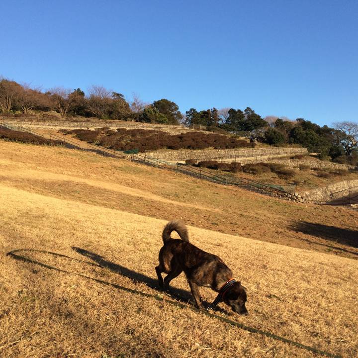 6c911c11 69c6 4095 baea fdc1b323a8ce