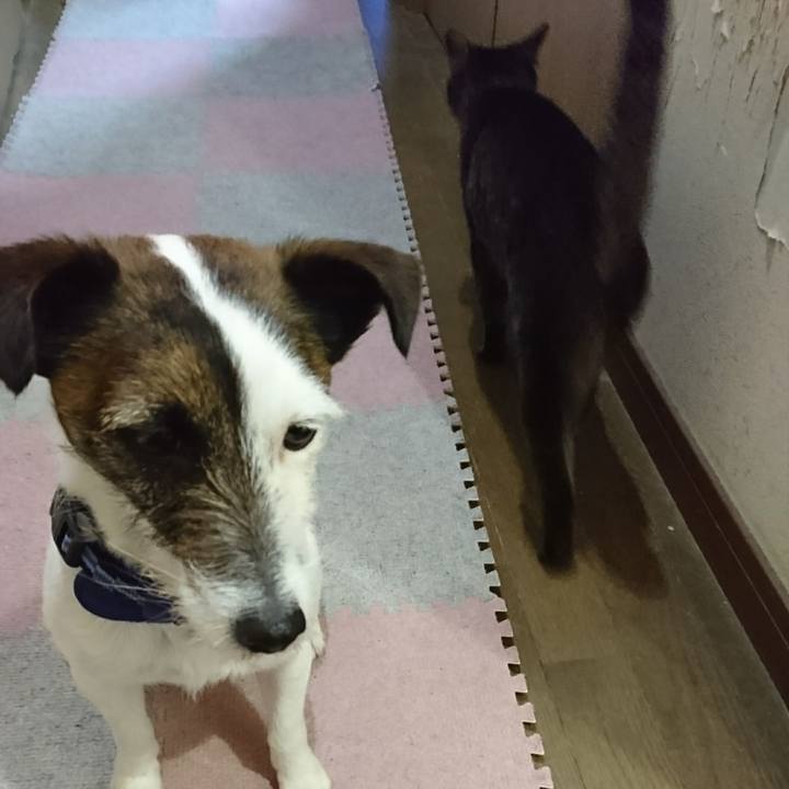 6c9184e1 6504 4502 bf8c 0d93e71336d9