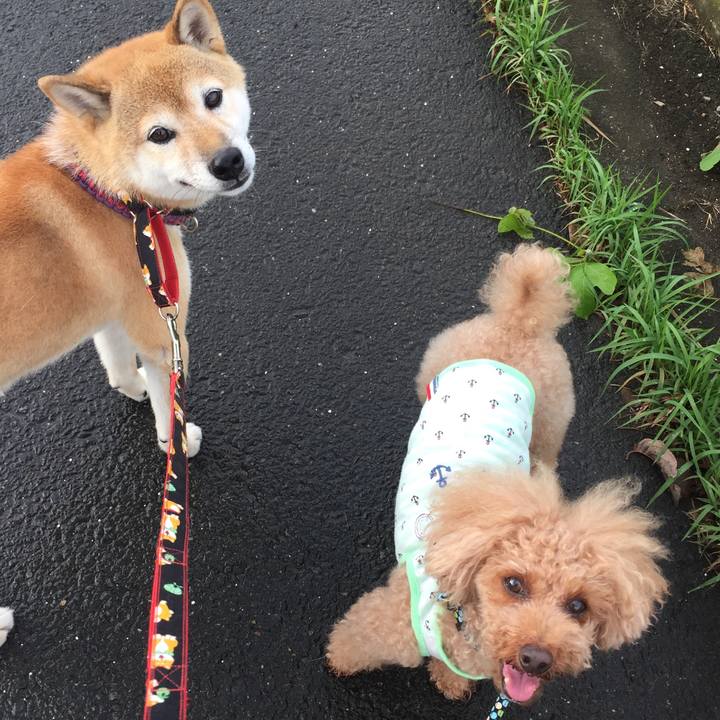 6c91bd00 1916 4904 95b1 3c4db92e0c71