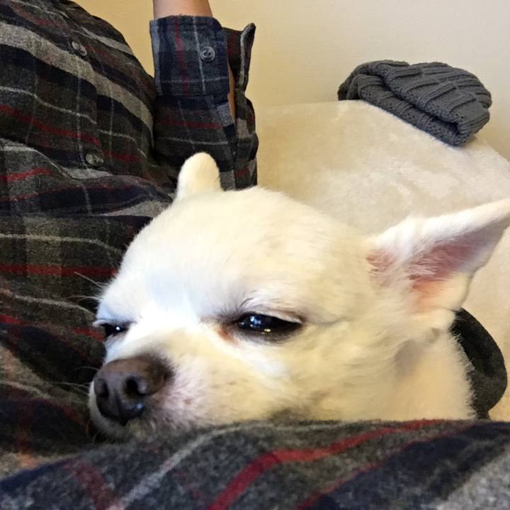 6c9251e8 6c2c 4a88 b165 b9413c8144bc