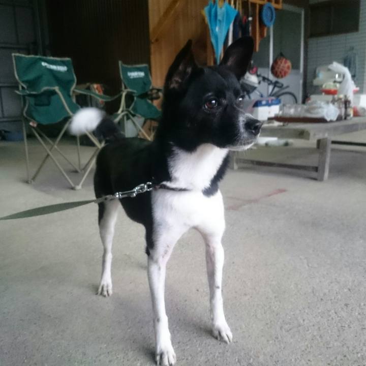 6c92ee01 99bf 4c59 a774 f64682355ca5