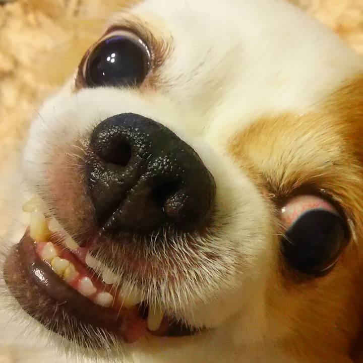 6c933089 04a4 42cc a353 903b88bcb481