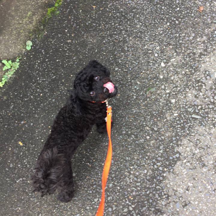 6c936576 e674 46ec b7b5 b4c23272ed2e