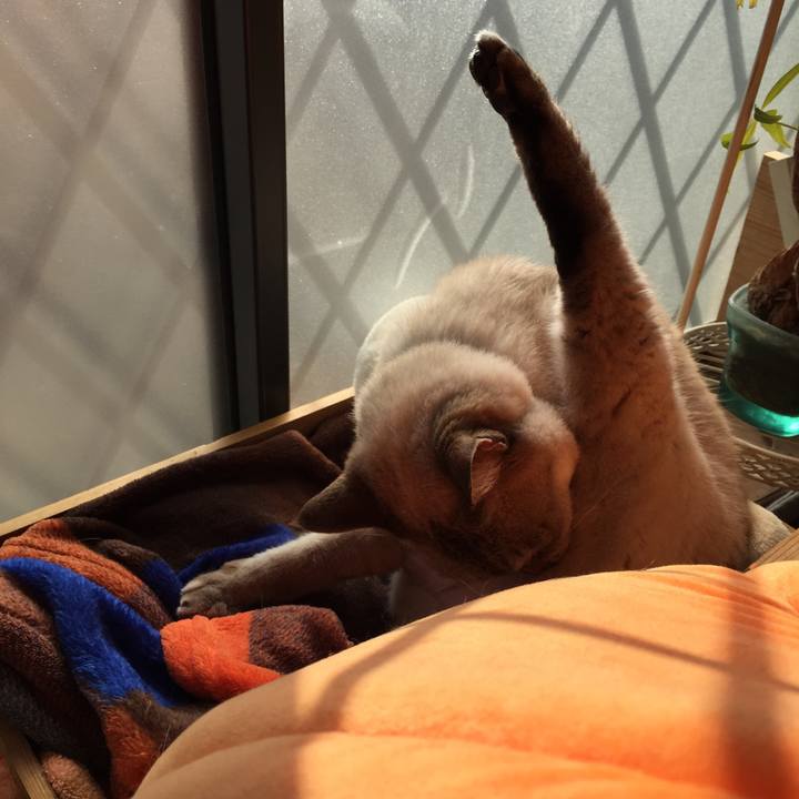 6c936e41 d29c 4d17 a096 ec004ccdc4e4