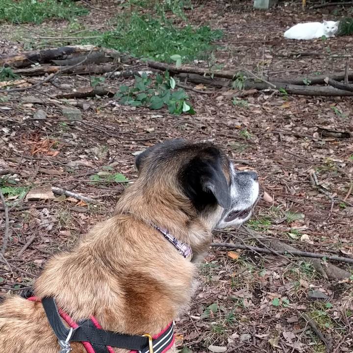 6c93c4bf e3c4 4cd2 8732 b4851cd4b40e