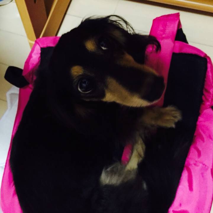 6c93f221 91e4 460b 80e9 b66aee24cf39