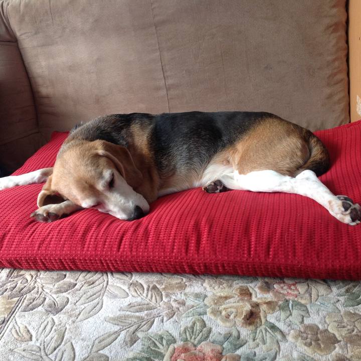 6c94788c 8852 4d6f bd5a 4f9994d4f6e0