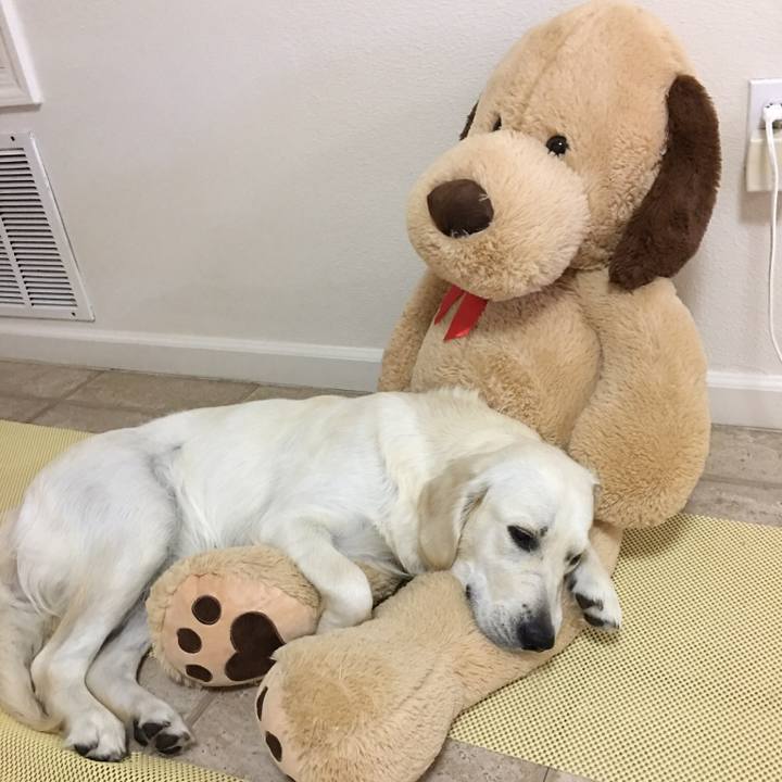 6c949779 0d22 4966 b582 a02a72f25009