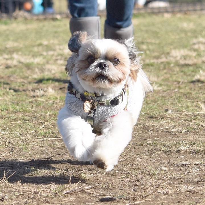 6c9572a1 0325 4597 88e9 b8227f5cdd3b