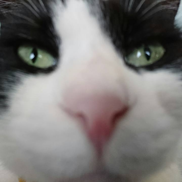 6c967dc2 a7fd 4095 a3dc 3783419d2d98