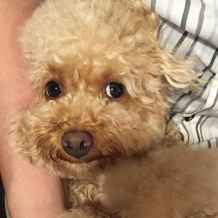 6c9733fc 66d1 440d 8e67 81c89ba96707