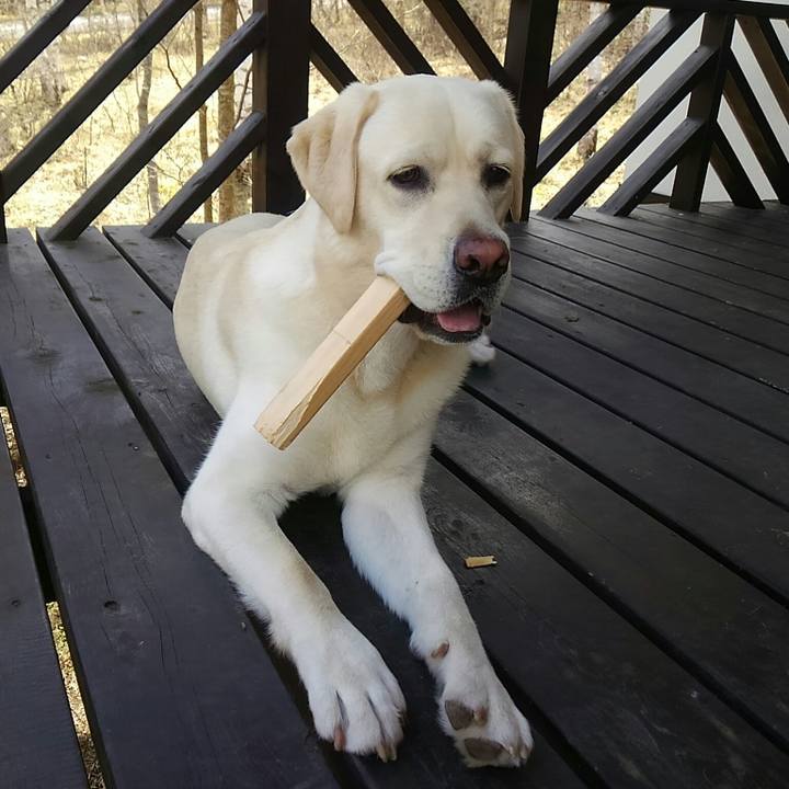 6c977838 49c5 4758 80b2 bc2f05edebb2