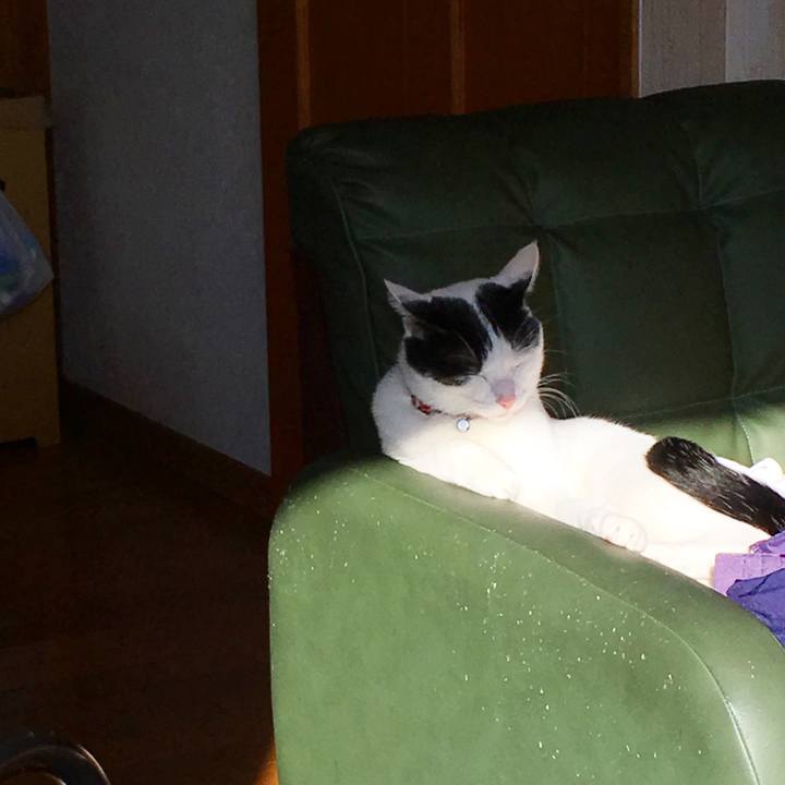 6c97d591 4fc8 457b ac70 20eada91a602