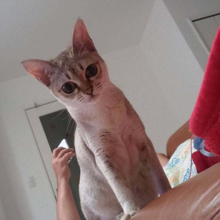 6c982867 843d 40ec 9c45 240f5f7b3370