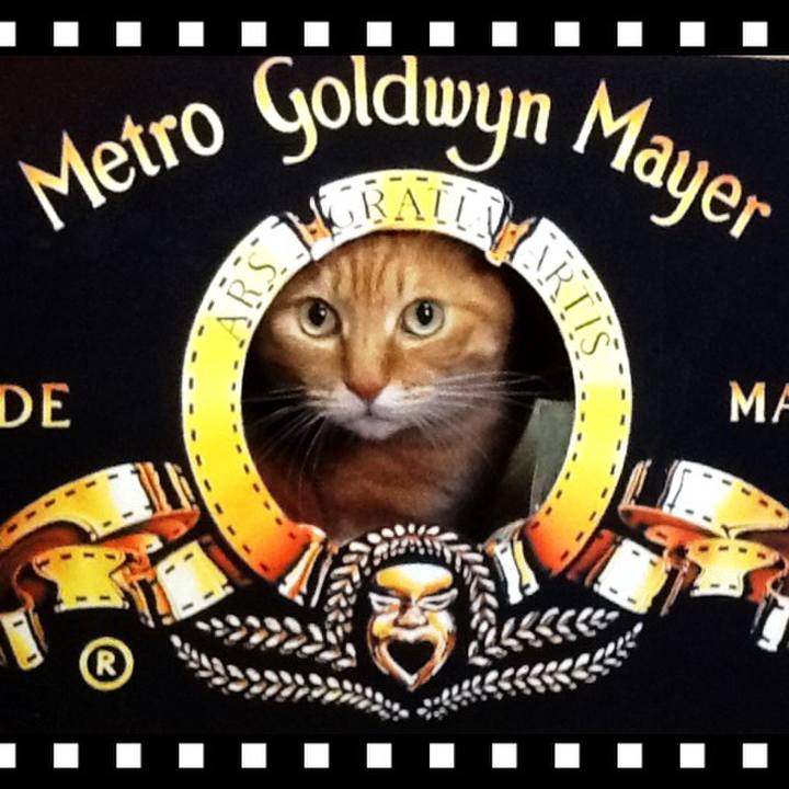 6c9882c8 3382 49d0 b0f0 8ab03f9a4bda