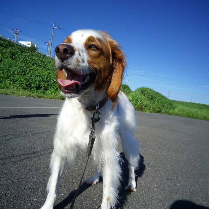 6c996d08 9005 4611 919b b881dcd743e8