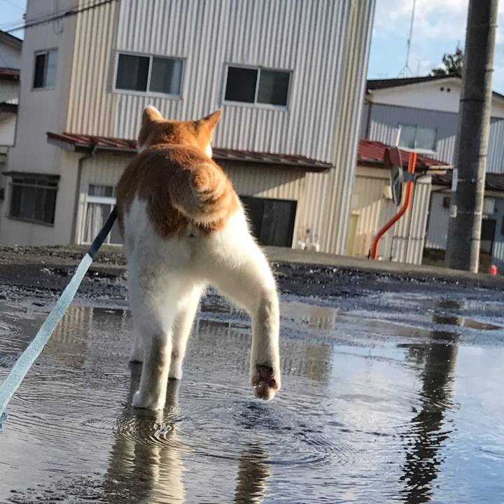 6c99eb65 ffbc 4f32 880b 916690cd7d39